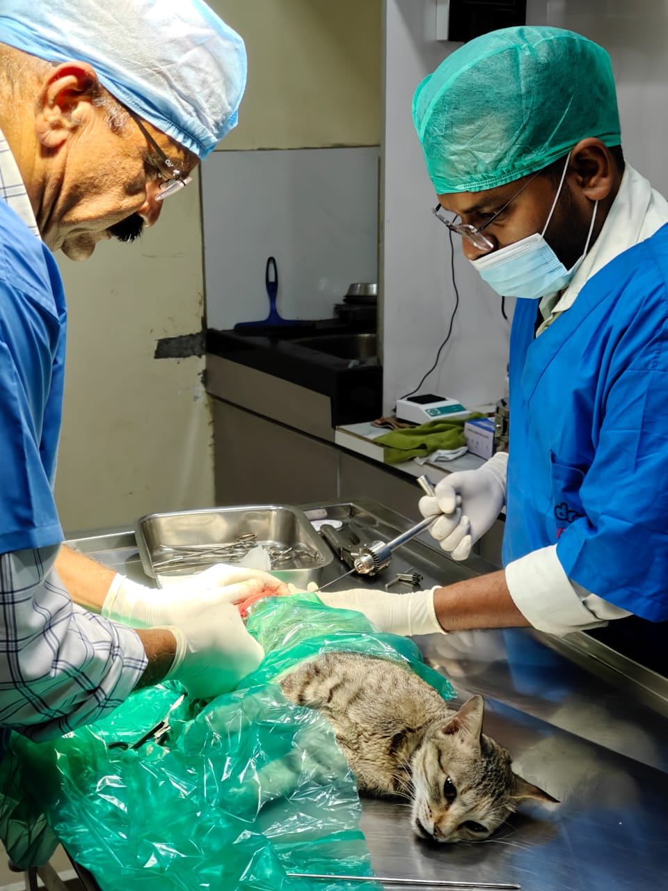 Sarvadnya Pet Care Unit veterinary clinic, Pune